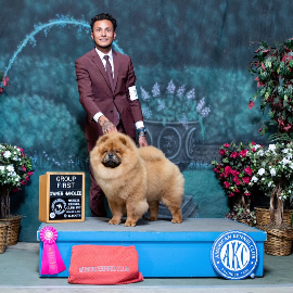 CH Notorious Star LOL