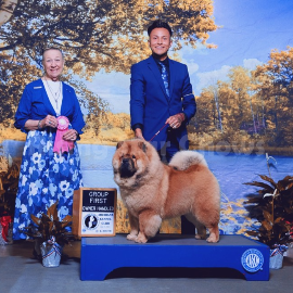 GCH CH Rising Star Just Call Me Valentino